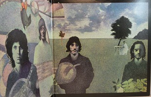 THE DOORS - SOFT PARADE